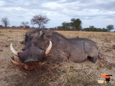 namibia hunting paradise 285